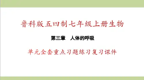鲁科版五四制七年级上册生物 第三章 人体的呼吸 单元全套重点习题练习复习课件