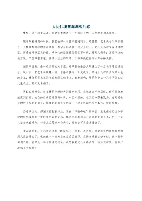 人间仙境青海湖观后感