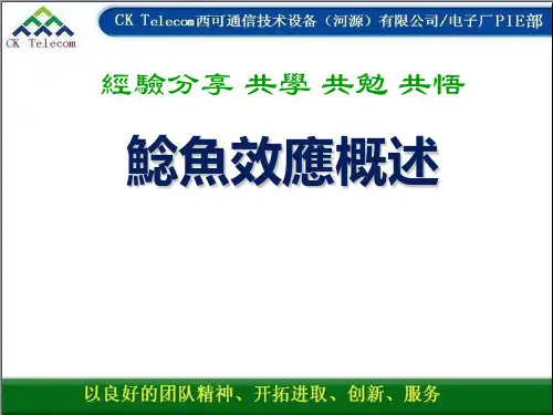 学习鲶鱼效应