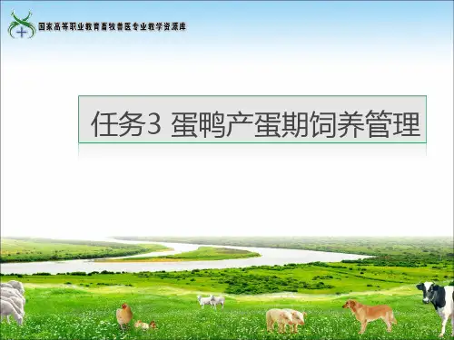 任务3蛋鸭产蛋期饲养管理(精)