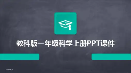 教科版一年级科学上册PPT课件-2024鲜版