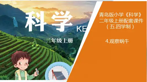 4新青岛版小学科学五年制二年级上册.《观察蜗》教学课件