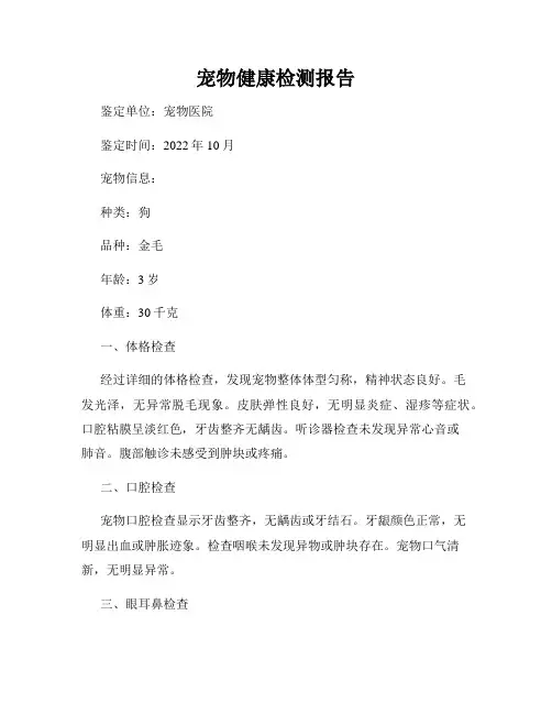 宠物健康检测报告