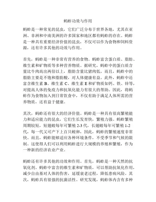 蚂蚱功效与作用