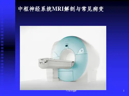 头颅MRIppt课件