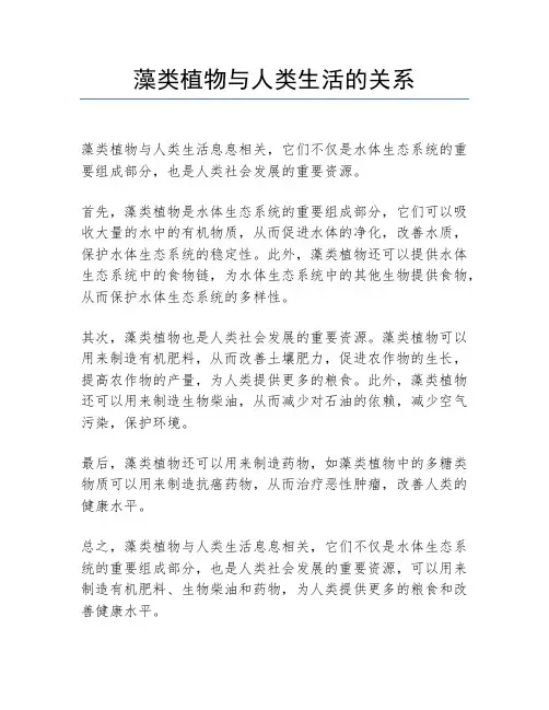 藻类植物与人类生活的关系