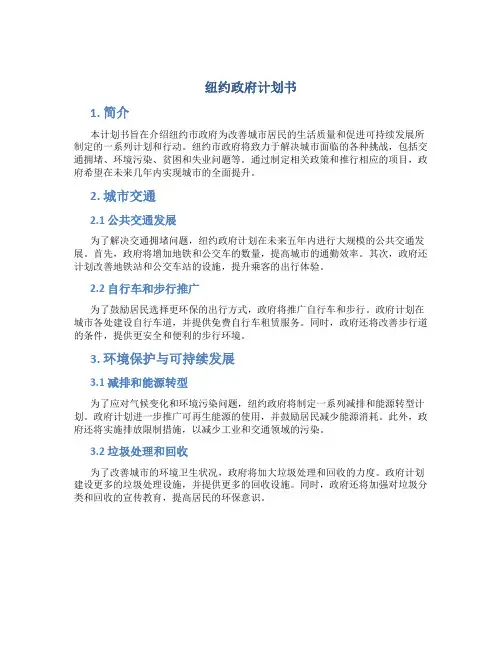 纽约政府计划书