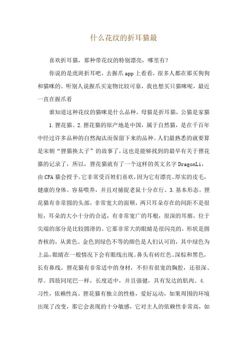 什么花纹的折耳猫最