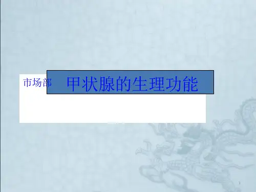 甲状腺的生理功能课件