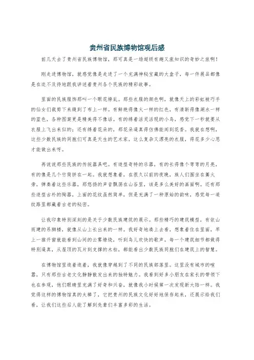 贵州省民族博物馆观后感