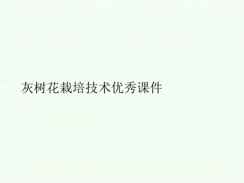 灰树花栽培技术优秀课件