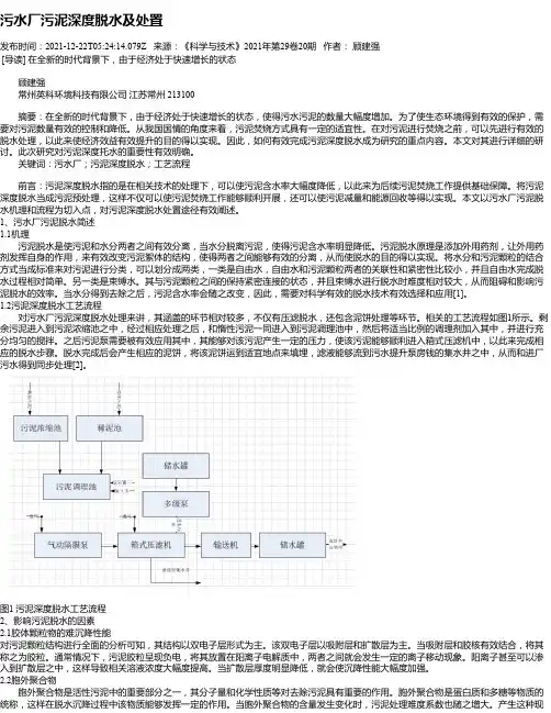 污水厂污泥深度脱水及处置