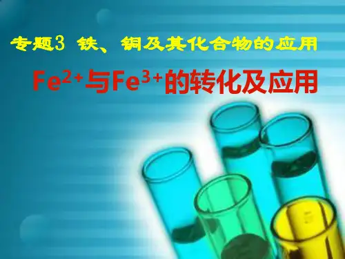 苏教版高中化学复习课件：铁三角 (共18张PPT)