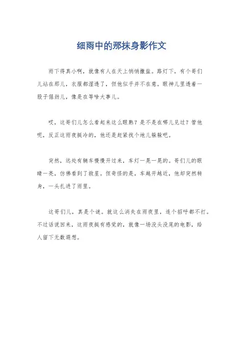 细雨中的那抹身影作文