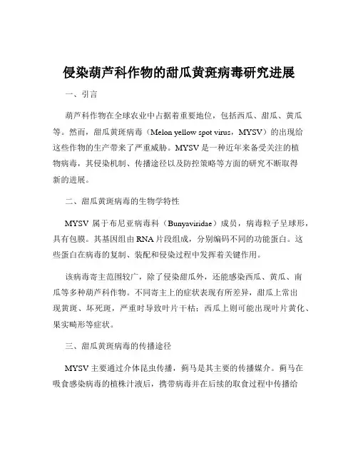 侵染葫芦科作物的甜瓜黄斑病毒研究进展