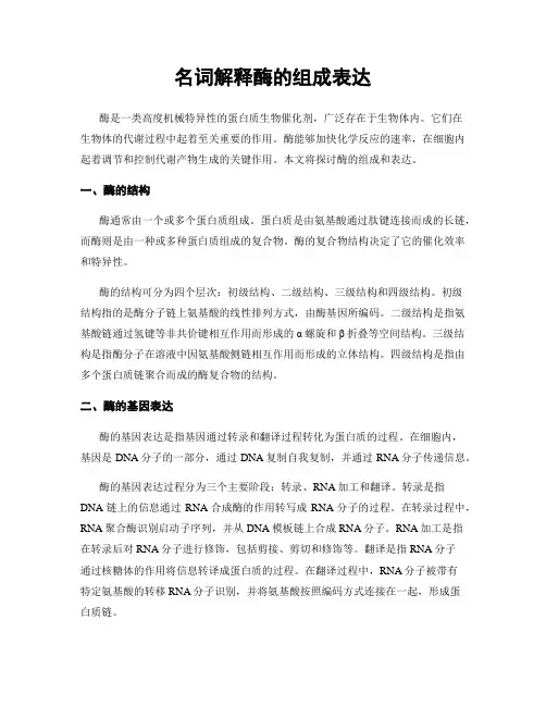 名词解释酶的组成表达