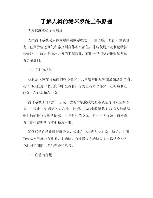 了解人类的循环系统工作原理