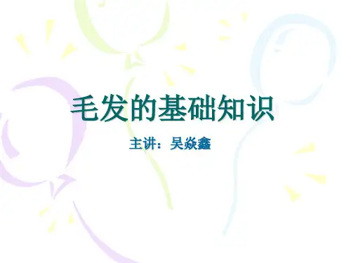 毛发的基础知识(新的)
