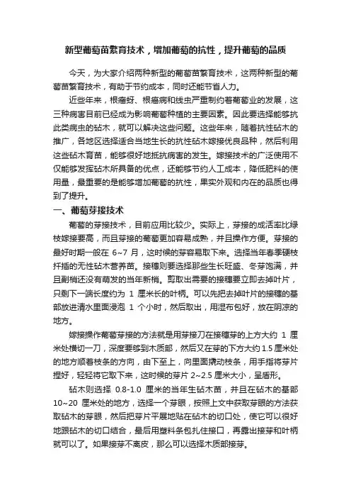 新型葡萄苗繁育技术，增加葡萄的抗性，提升葡萄的品质