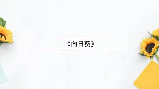 浙美版 美术二年级下册15 向日葵(课件) (1)