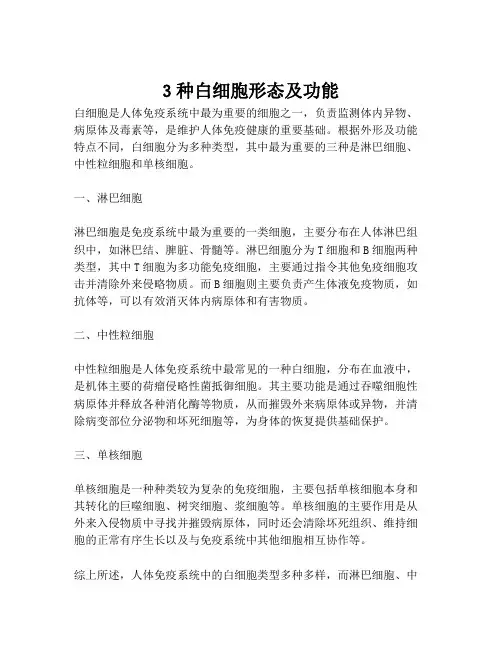 3种白细胞形态及功能