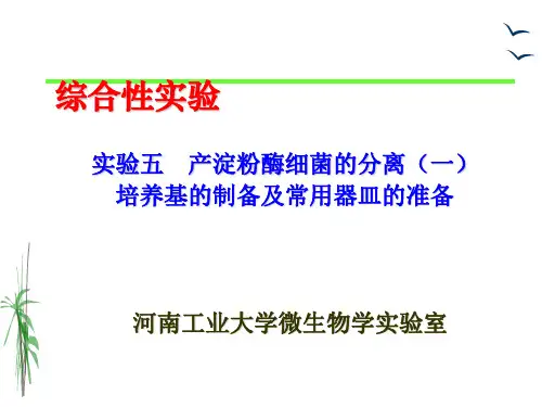 实验五    产淀粉酶细菌的分离(一)培养基的制备及常用器皿的准备