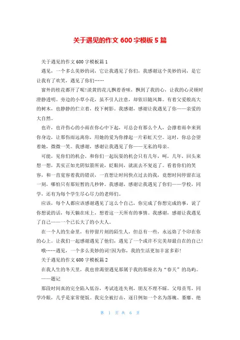 关于遇见的作文600字模板5篇