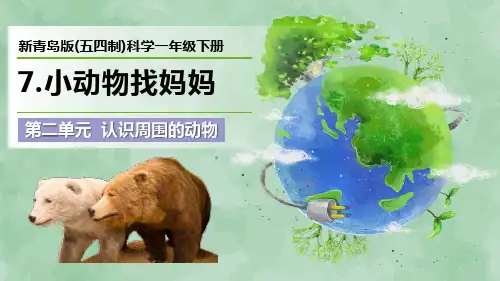 新青岛版(五四制)科学一年级下册第二单元 认识周围的动物《小动物找妈妈》优质课件