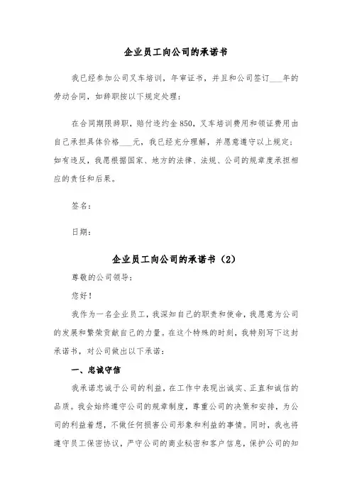 企业员工向公司的承诺书（2篇）
