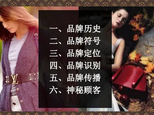 LV品牌经典分析资料