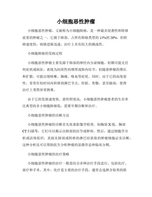 小细胞恶性肿瘤