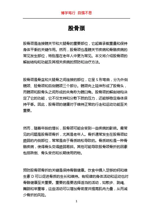 股骨颈_精品文档