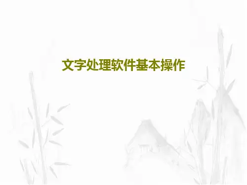 文字处理软件基本操作41页PPT