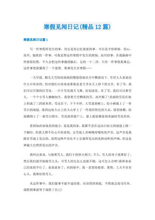 寒假见闻日记(精品12篇)