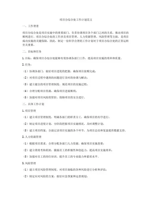项目办综合处工作计划范文