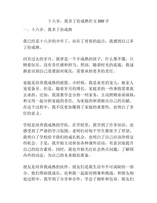 十六岁,我多了份成熟作文800字