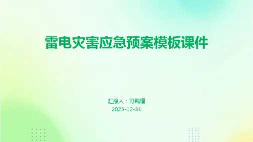 雷电灾害应急预案模板课件