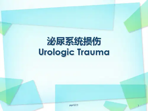 外科学 泌尿系统损伤  ppt课件