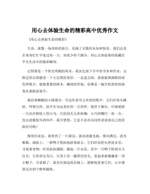 用心去体验生命的精彩高中优秀作文