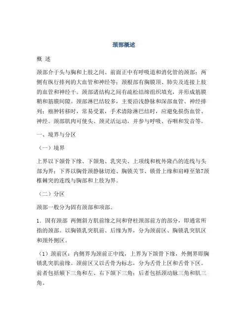 医学知识之颈部概述