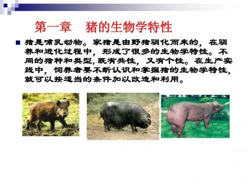 猪的生物学特性