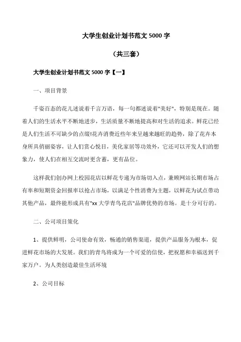 大学生创业计划书范文5000字