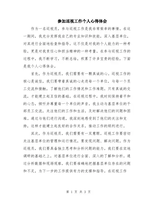 参加巡视工作个人心得体会