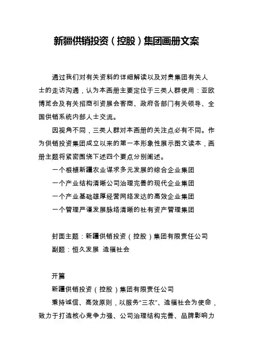 新疆供销投资(控股)集团画册文案