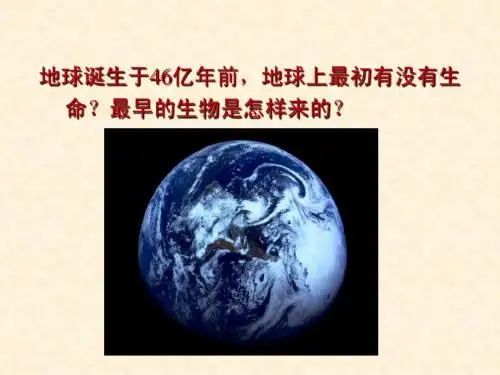 生物：第五单元第一章第一节生命的起源课件(济南版八年级下) 2