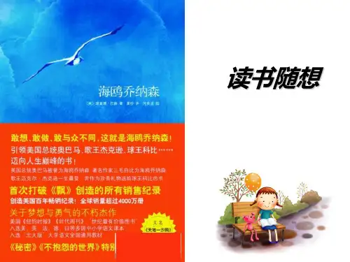 海鸥 Microsoft PowerPoint 演示文稿