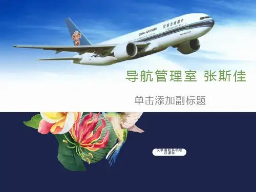 仪表着陆系统培训