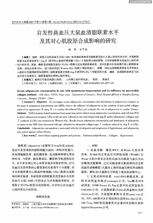自发性高血压大鼠血清脂联素水平及其对心肌胶原合成影响的研究