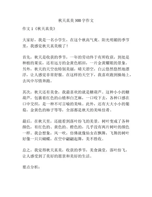 秋天真美300字作文