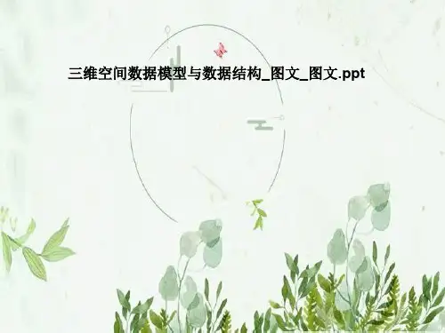 三维空间数据模型与数据结构_图文_图文